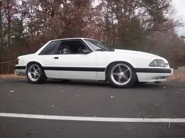 lowerd2.webp