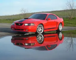 cc132d13.webp