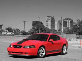 61bcfe6d.webp