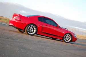 f5fbdeb6.webp