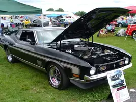 Carlisle200600014.webp