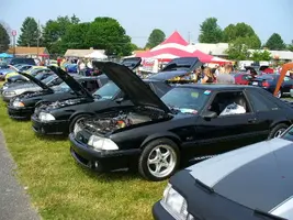 Picture003.webp