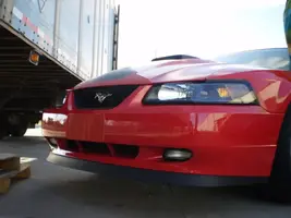 P1020029.webp