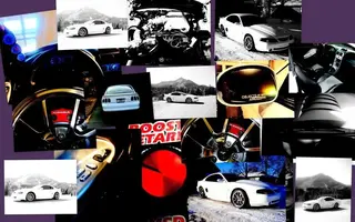 stangpics.webp