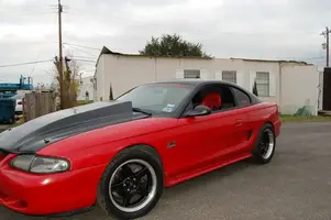 carpic30.webp