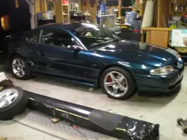 mustang.webp