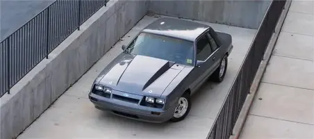 100_2977Medium.webp