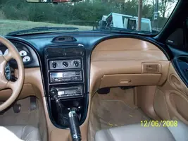 mustang024.webp