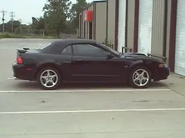 mystang.webp