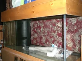 CIMG4871.webp
