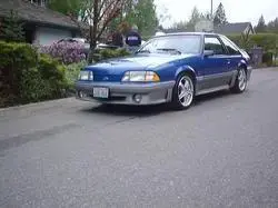 2124840008_medium.webp
