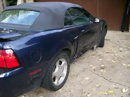 Mustang037.webp