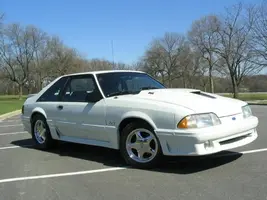 mustang154.webp