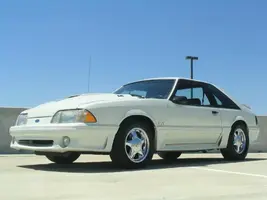 mustang178.webp