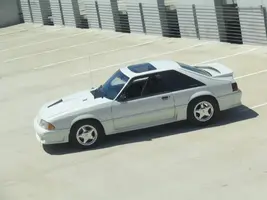 mustang193.webp