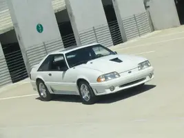 mustang191.webp