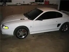 cobra1.webp