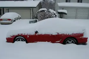 SnowDec08c.webp