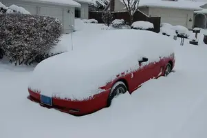 SnowDec08b.webp
