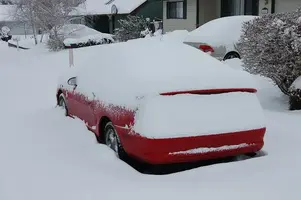 SnowDec08a.webp