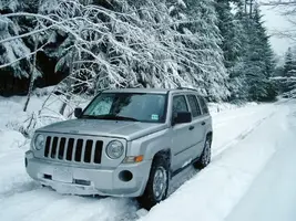 Patriotinthesnow.webp