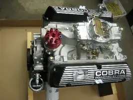 cobramotor.webp