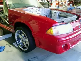 mustang30.webp