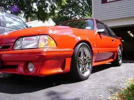 nittos010.webp