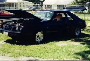 stang.webp