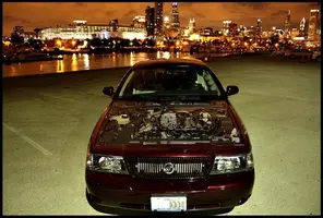 M pic 3.webp