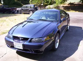 2001b.webp 2001b.webp