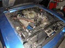 PC070009.webp