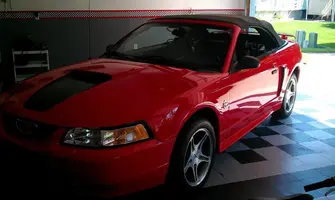 IMAG0102.webp