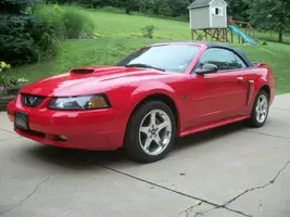 000_0055.webp