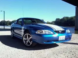 stang.webp