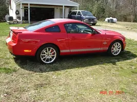 Car and Carrots Pictures 3-26-11 008.webp