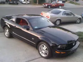 mustang.webp