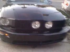 mustang2.webp