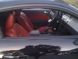 mustang3.webp