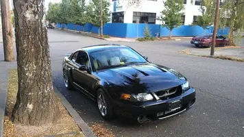 03 cobra.webp