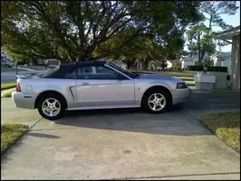 stang.webp