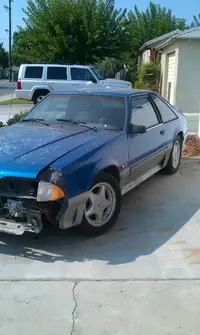 Josh 4 sale.webp