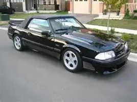 saleen sc.webp