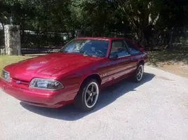 mustang1.webp