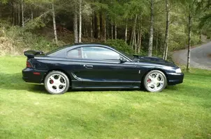 mustang.1.webp