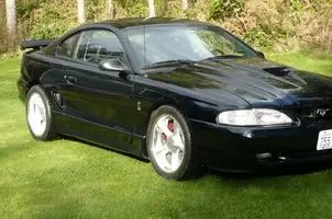 mustang.2.webp