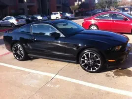 stang.webp
