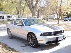 mustang small pic.webp