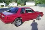 th_100_7691.webp