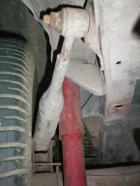 100_0007.webp